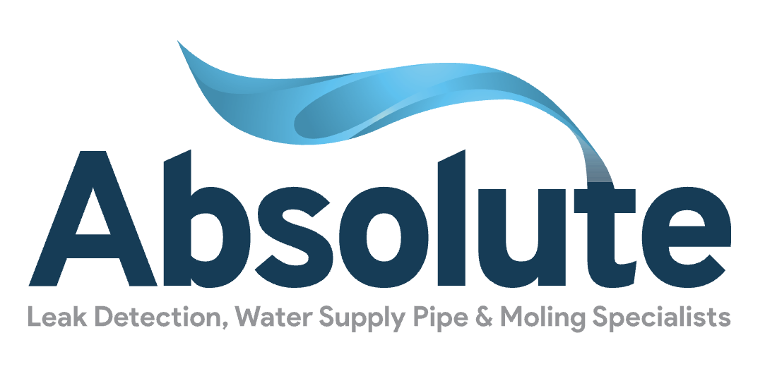Absolute Leak Detection logo